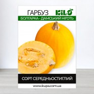 Насіння гарбуза Болгарка (Дамський Ніготь) на насіння, 100 г